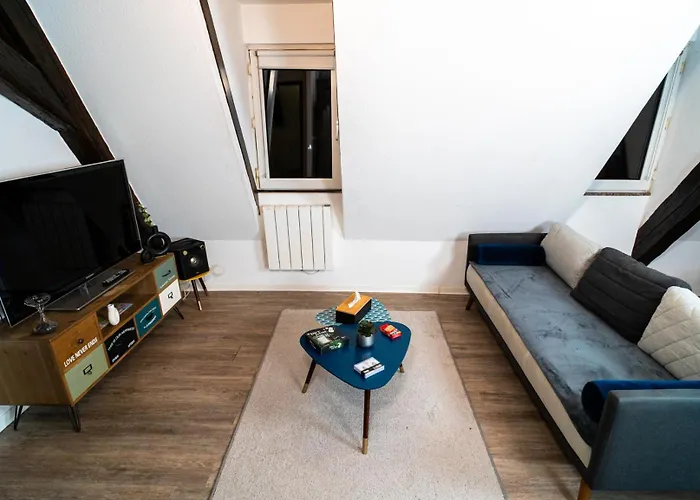 Elegant Duplex Historique Alsacien