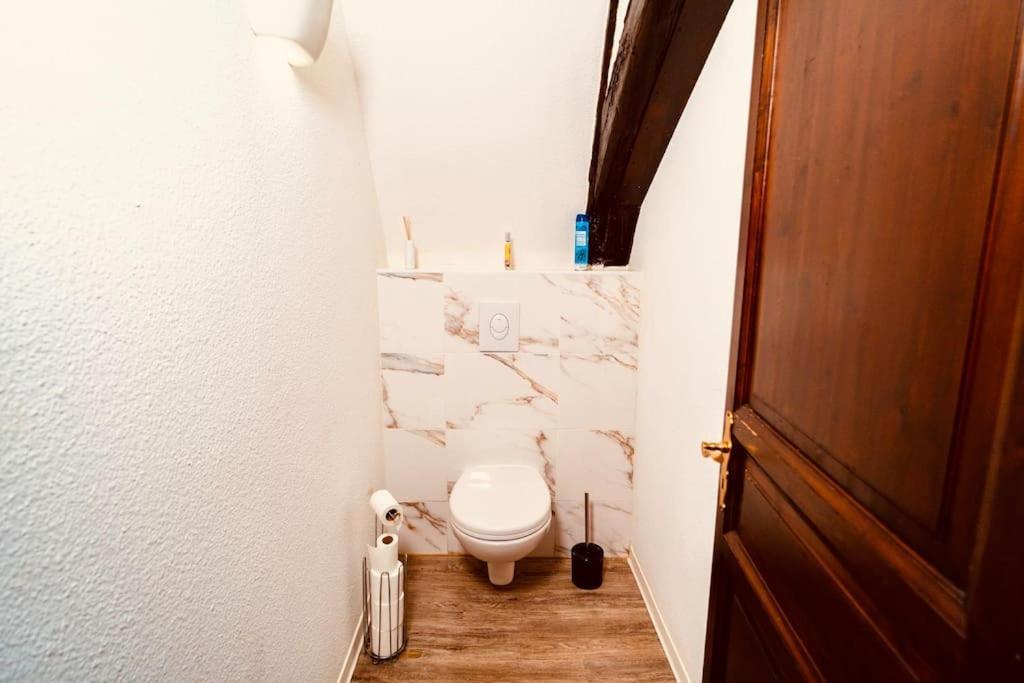Elegant Duplex Historique Alsacien Haguenau