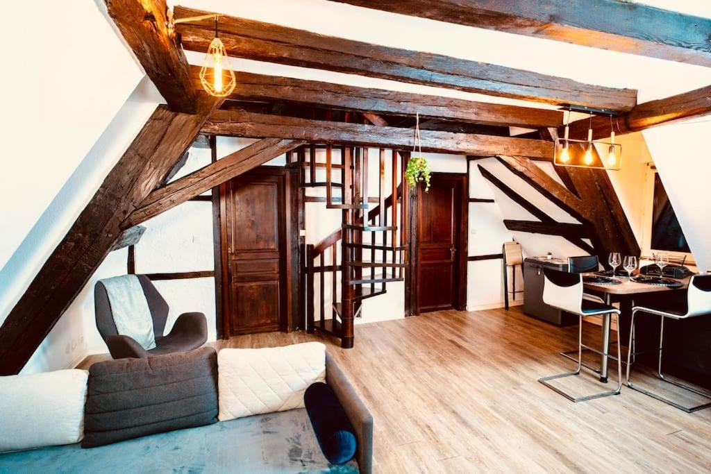 Elegant Duplex Historique Alsacien Hagenau