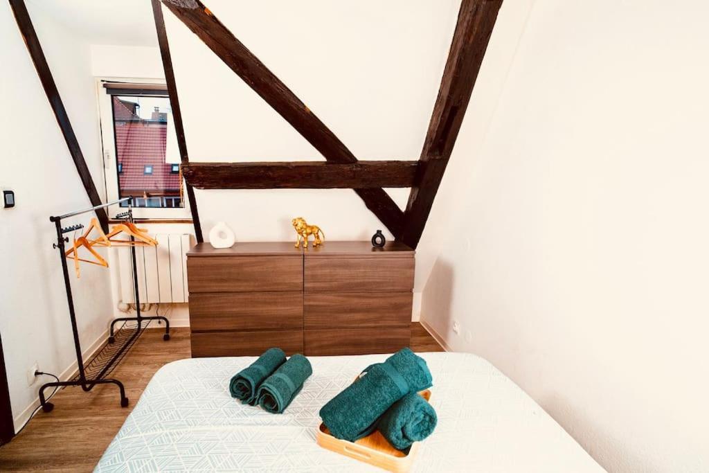 Elegant Duplex Historique Alsacien Apartment *