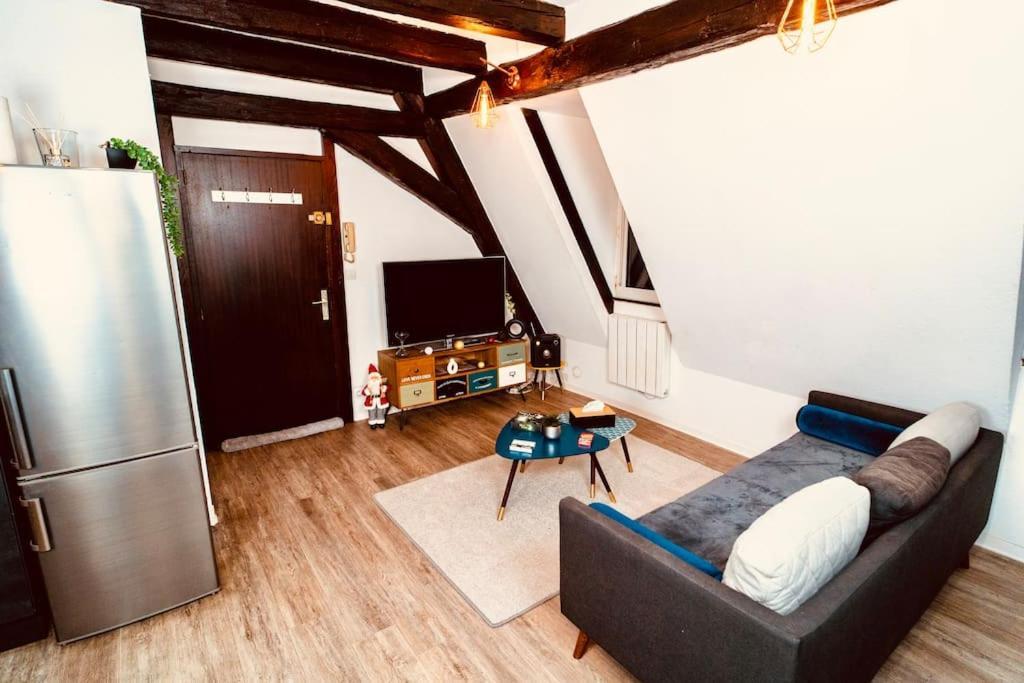 Elegant Duplex Historique Alsacien Apartment Haguenau