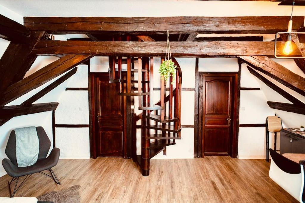 Elegant Duplex Historique Alsacien