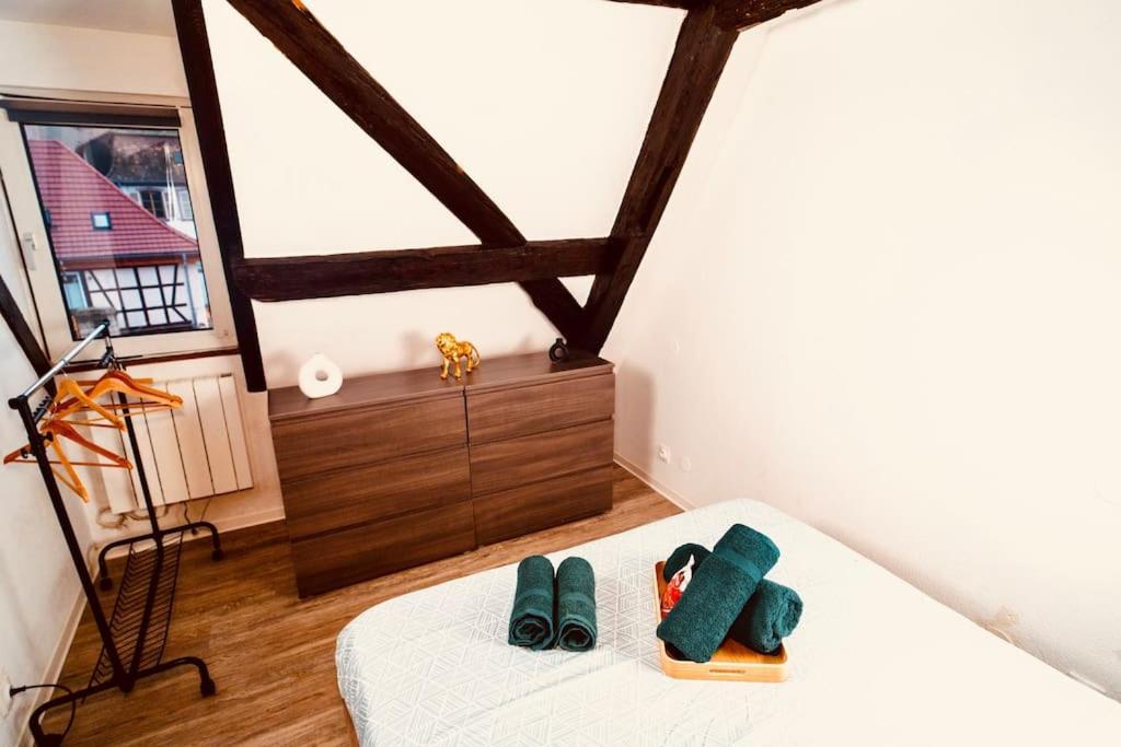 Apartment Elegant Duplex Historique Alsacien *